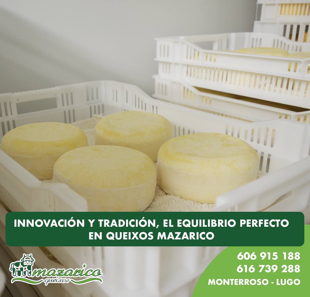 Innovación y tradición en la fabricación de quesos gallegos