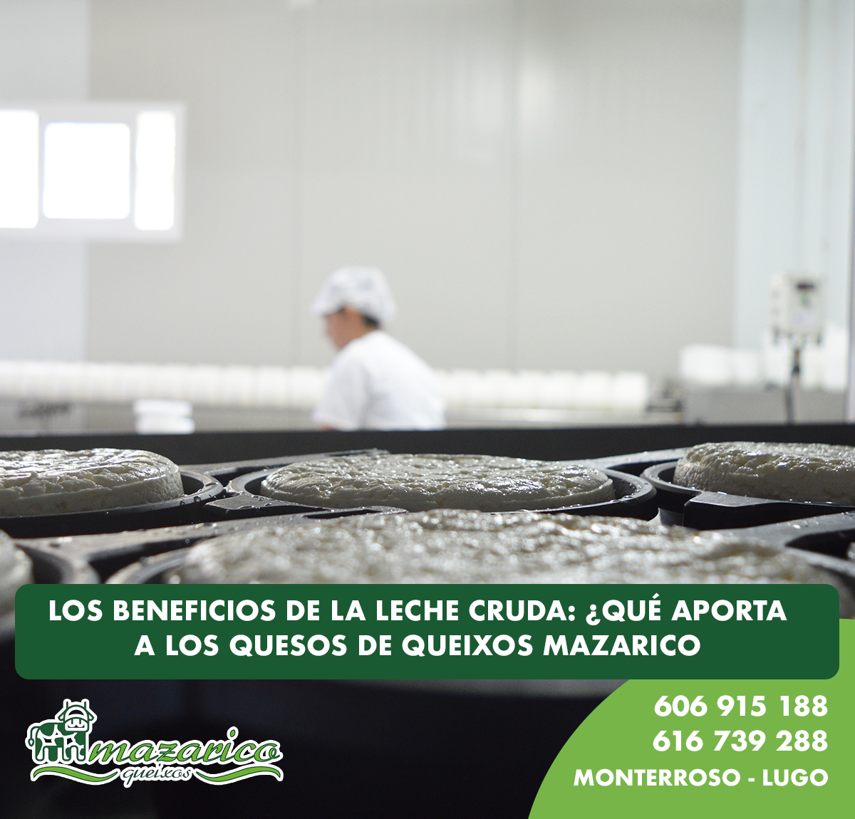 Beneficios de la leche cruda en los quesos gallegos