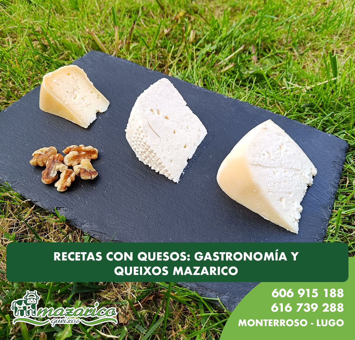 Gastronomía con quesos y recetas