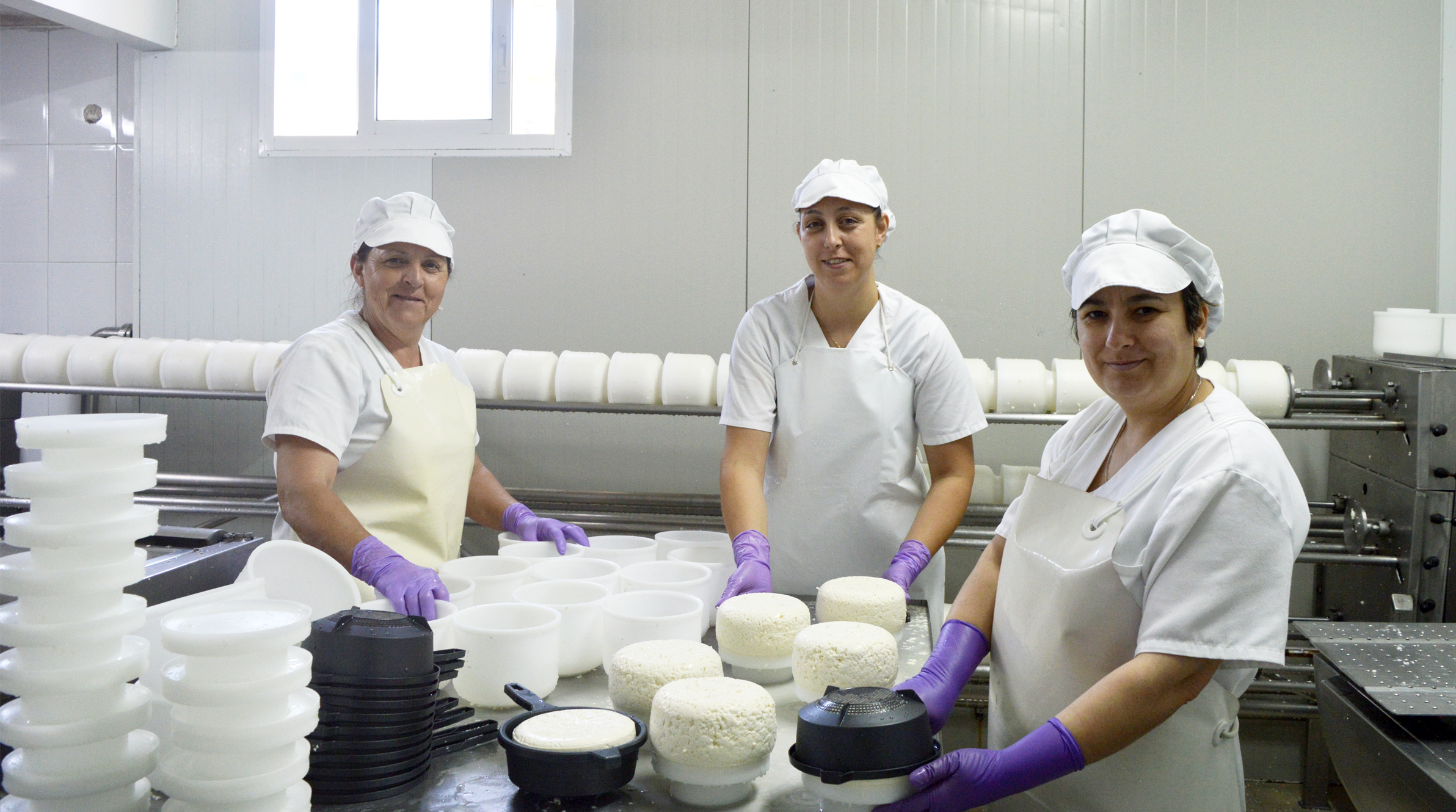 Equipo de trabajadores de la empresa quesos mazarico en Galicia