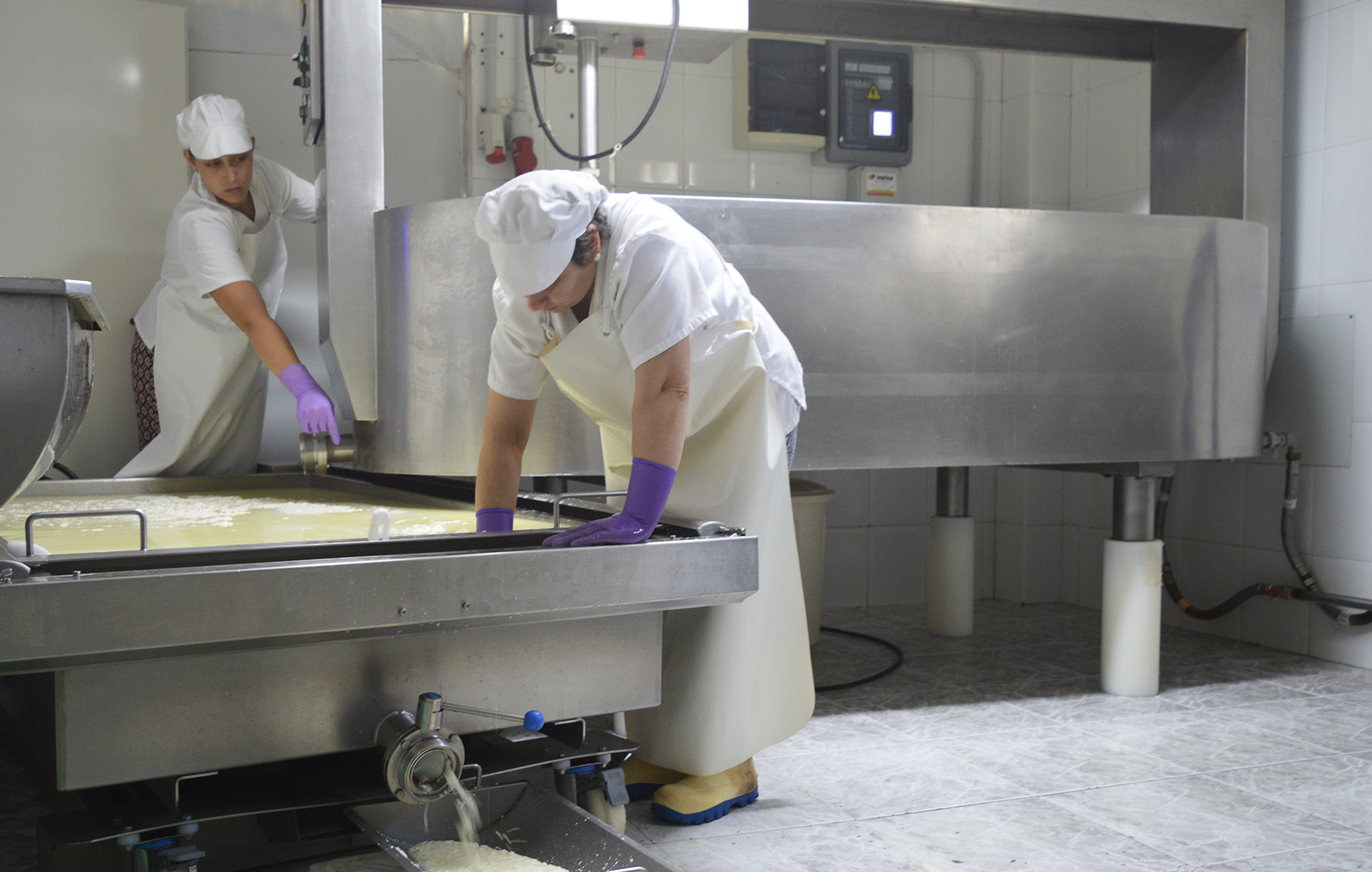 Queseras artesanales haciendo queso en Galicia